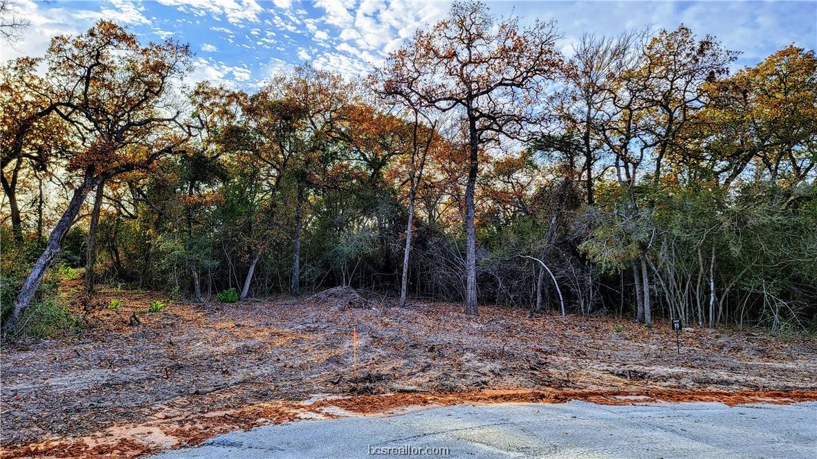 Franklin, TX 77856,Lot 15 Berkshire DR