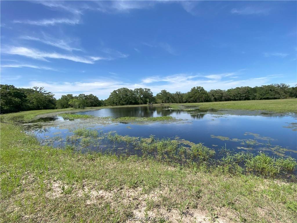 Lyons, TX 77879,TBD FM 60 (+/- 110.9 acres)