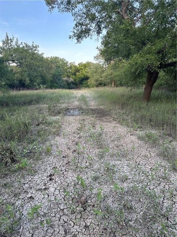 Navasota, TX 77868,TBD Navasota Ridge