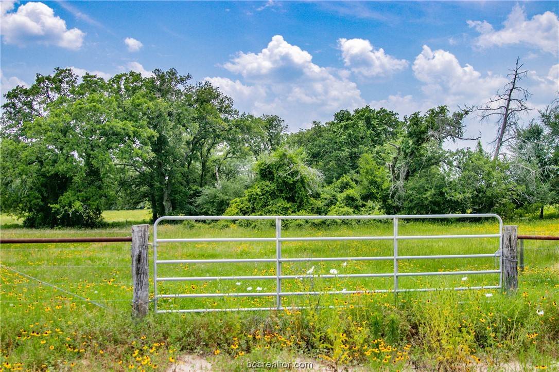 Somerville, TX 77879,Lot 29 Legacy Rd