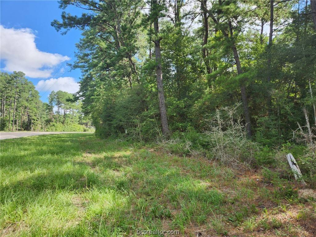 Hempstead, TX 77445,Lots 18-21 N. Council Dr.