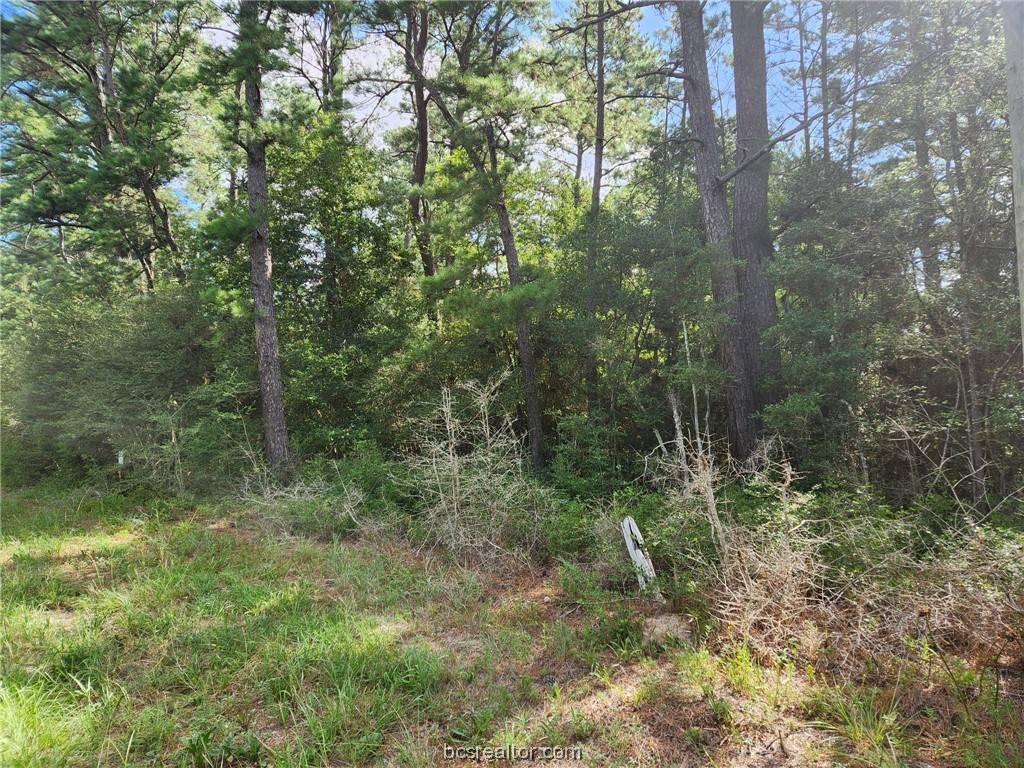 Hempstead, TX 77445,Lots 18-21 N. Council Dr.