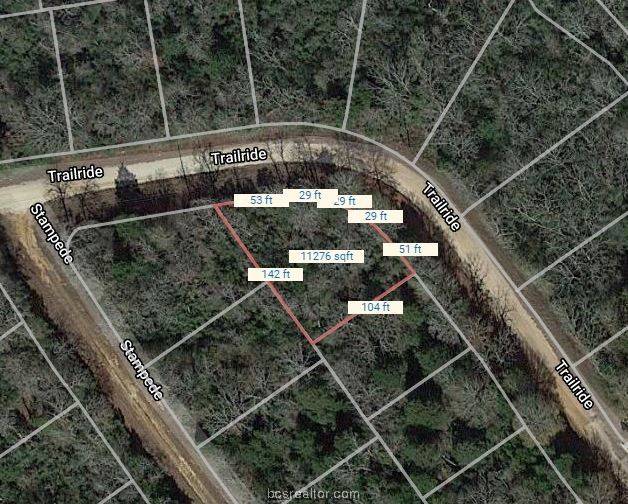 Hilltop Lakes, TX 77871,Lot 1 Trailride