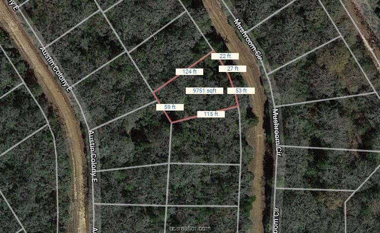 Hilltop Lakes, TX 77871,Lot 10 Stampede