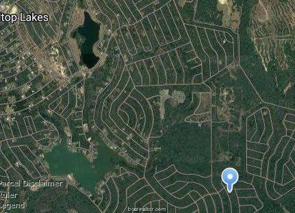 Hilltop Lakes, TX 77871,Lot 35 Chianti