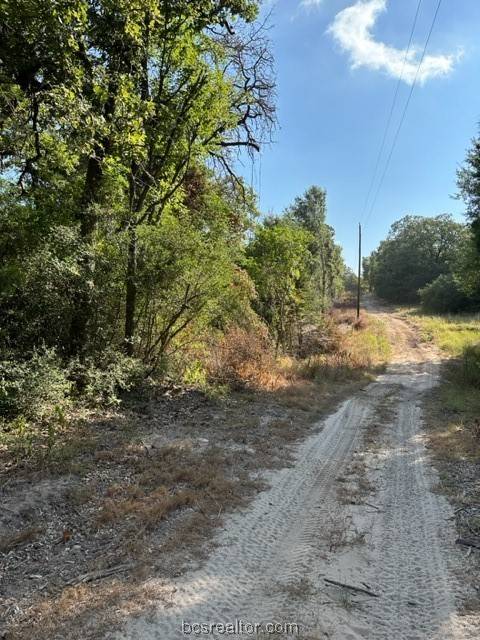 Bryan, TX 77807,Tract 6 Old Hearne RD