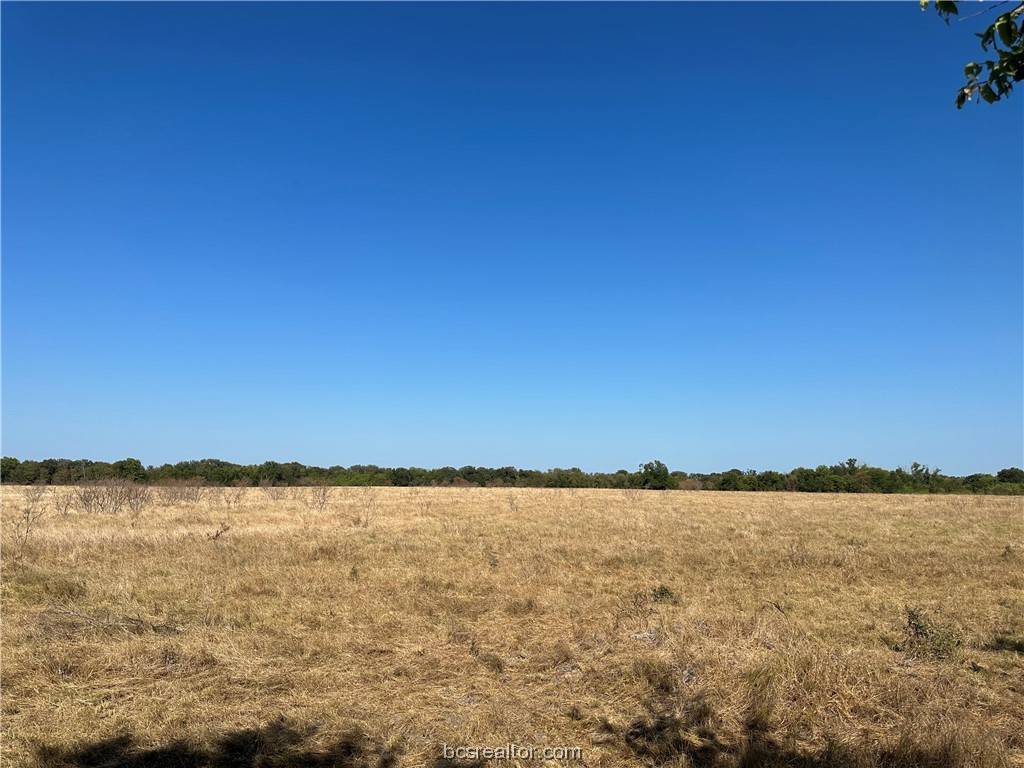 Otto, TX 76682,TRACT 1 TBD CR 159