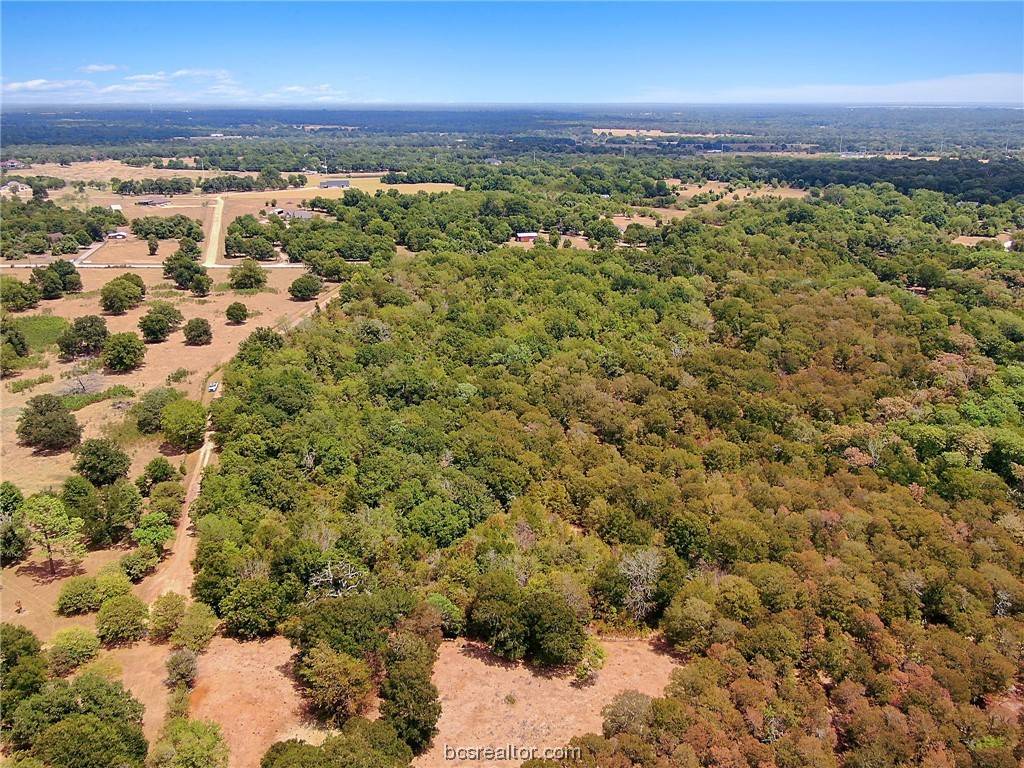 Hearne, TX 77859,TBD Overlook LN