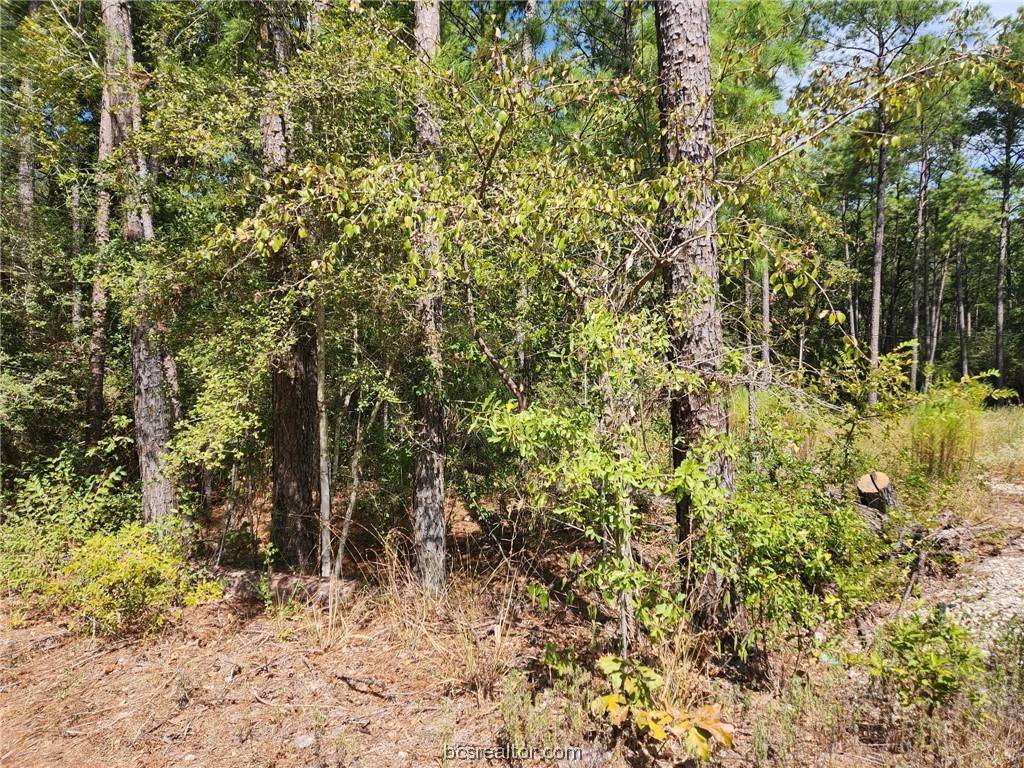 Plantersville, TX 77363,Lot 19 Hawthorne LN