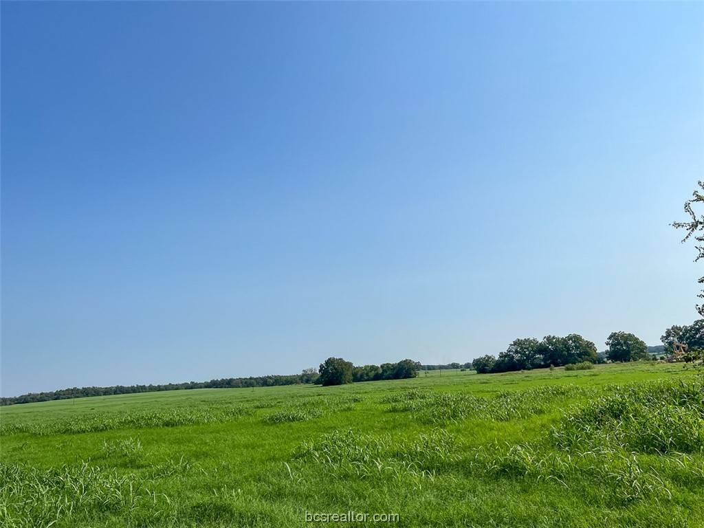 Caldwell, TX 77836,0 CR 328 County Road