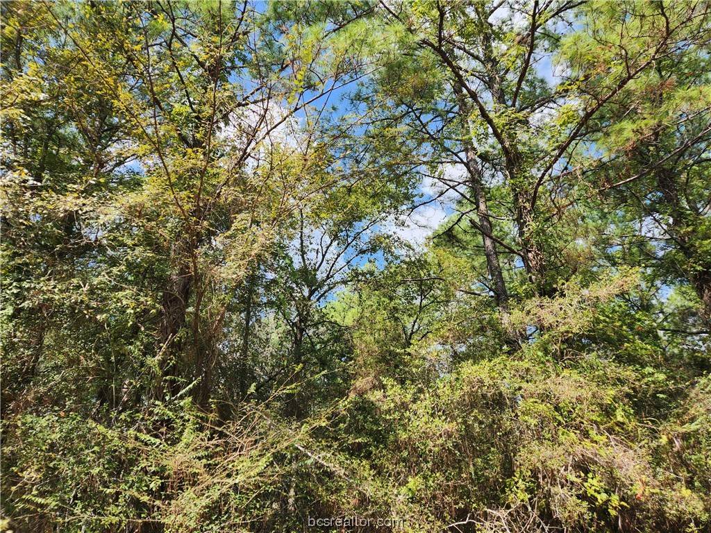 Hempstead, TX 77445,Lot 26 & 27 Eagle Ln.