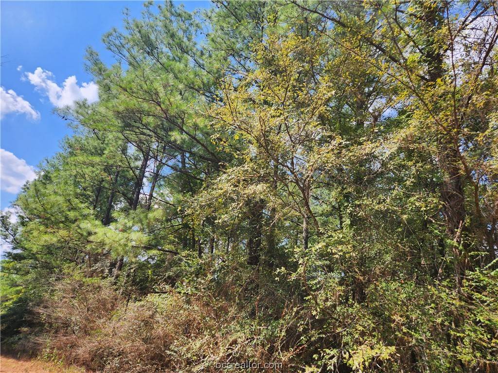 Hempstead, TX 77445,Lot 26 & 27 Eagle Ln.