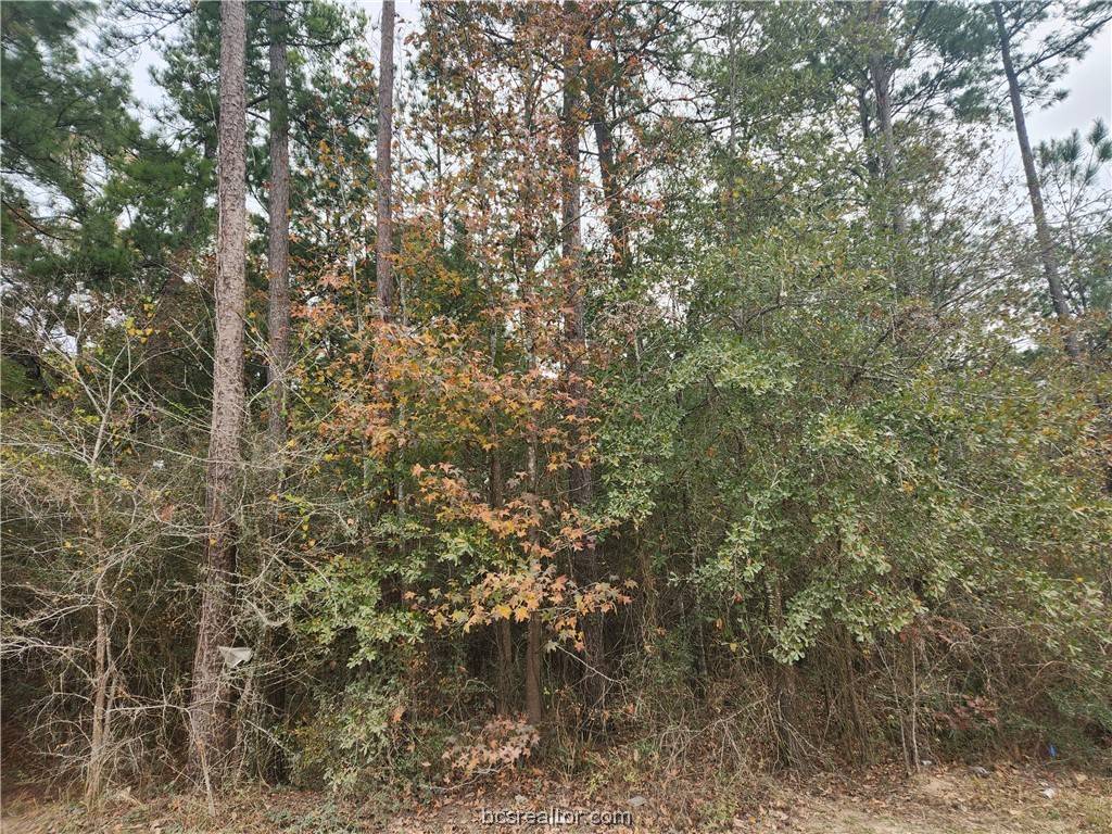 Plantersville, TX 77363,Lot 1 Yupon LN