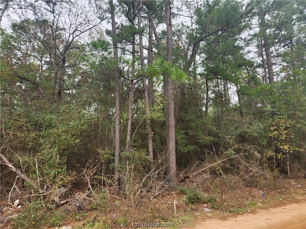 Plantersville, TX 77363,Lot 37 White Oak DR