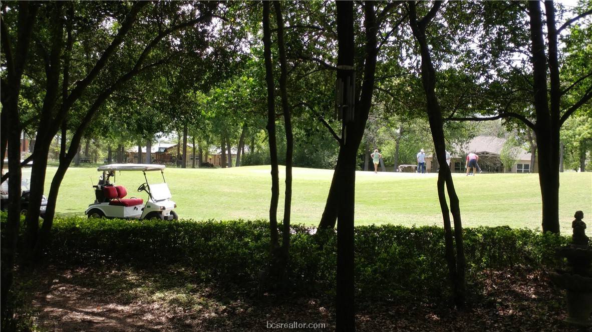 Hilltop Lakes, TX 77871,TBD Golf Club DR