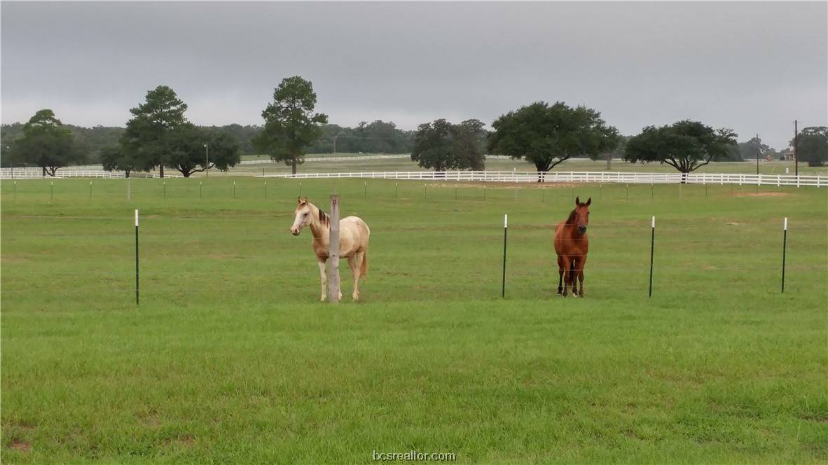 Hilltop Lakes, TX 77871,TBD Golf Club DR