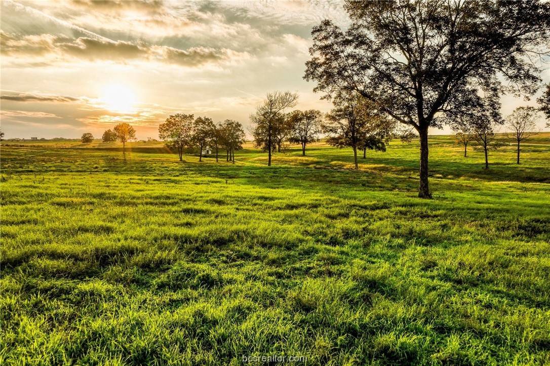 Chappell Hill, TX 77426,TBD Sunny Meadow Lot 6 DR