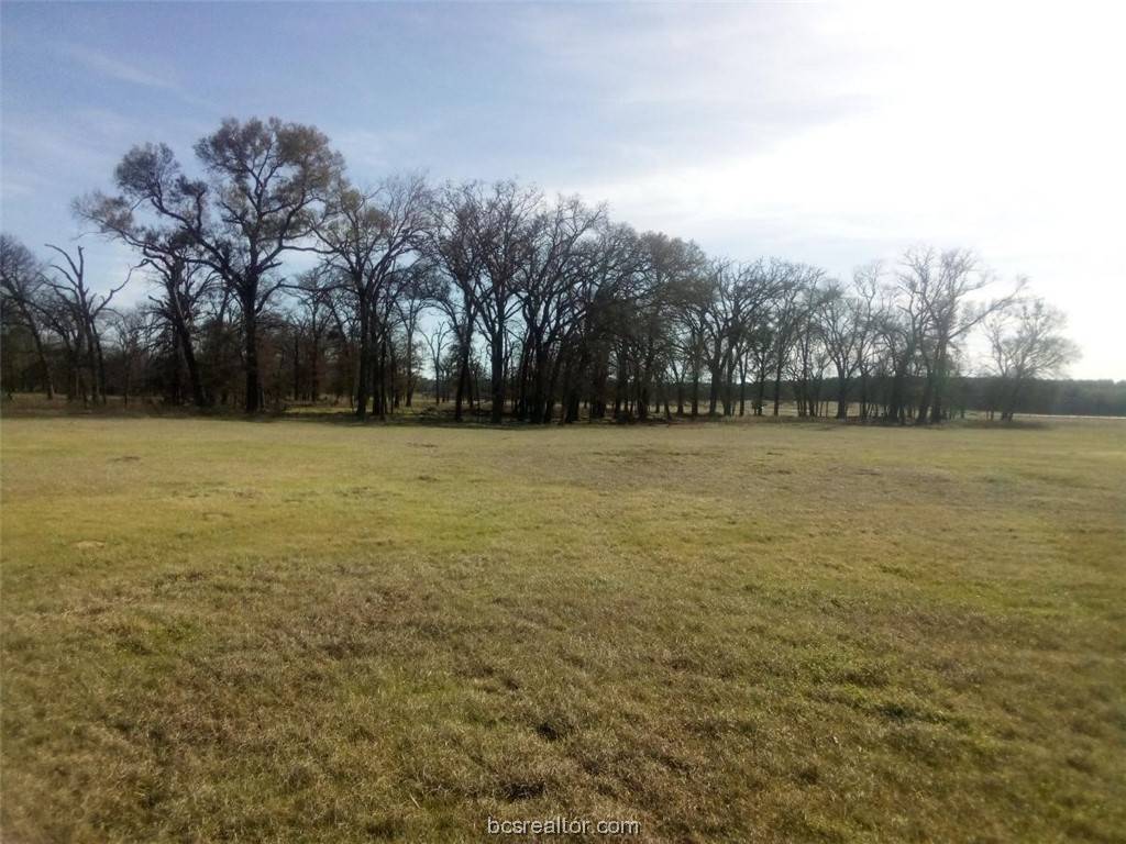 Centerville, TX 75833,TBD County Road 231