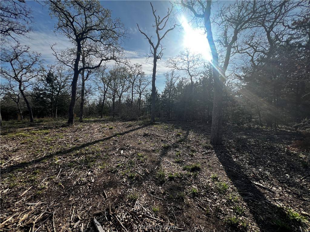 Somerville, TX 77879,Lot 146 Deer Run TRL