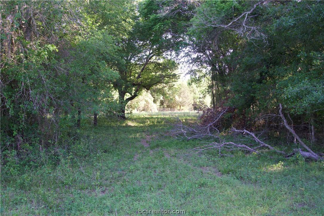 Paige, TX 78659,TBD St Delight Rd (Tract 7)