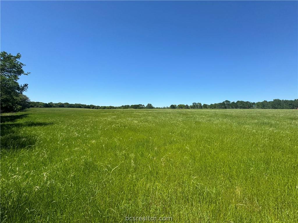 Paige, TX 78659,TBD St Delight (Tract 2)