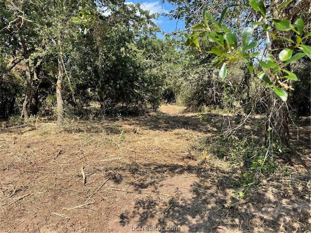Hilltop Lakes, TX 77871,TBD Live Oak