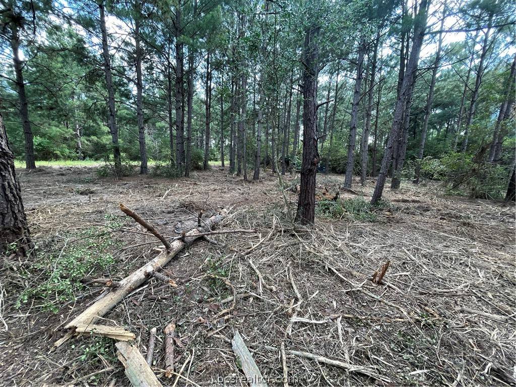 Hilltop Lakes, TX 77871,TBD Kingston LN
