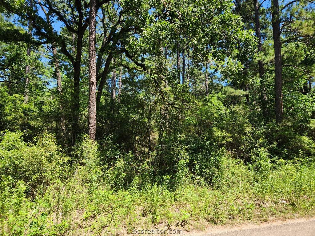 Plantersville, TX 77363,Lot 69 Pinebrook DR