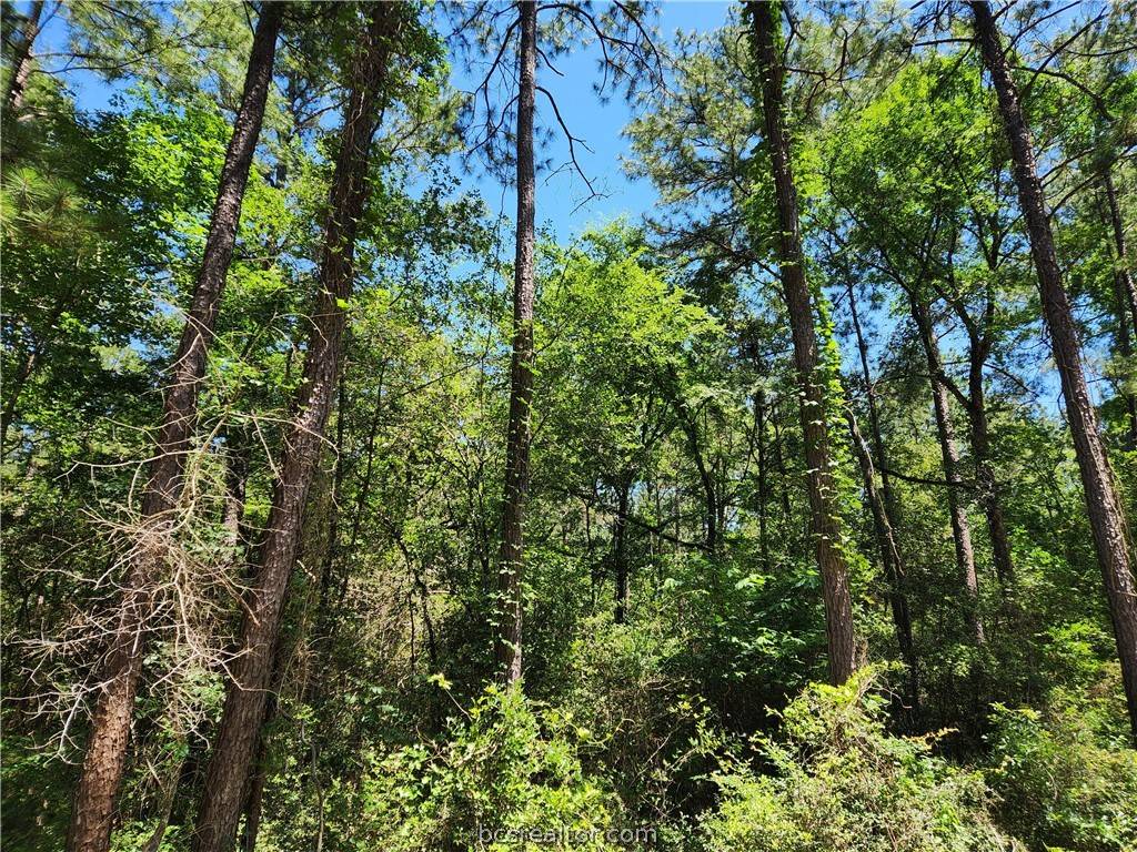 Plantersville, TX 77363,Lot 73 Pinebrook DR