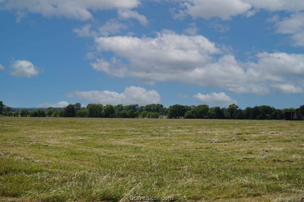 Caldwell, TX 77836,Tract 2 TBD County Road 318