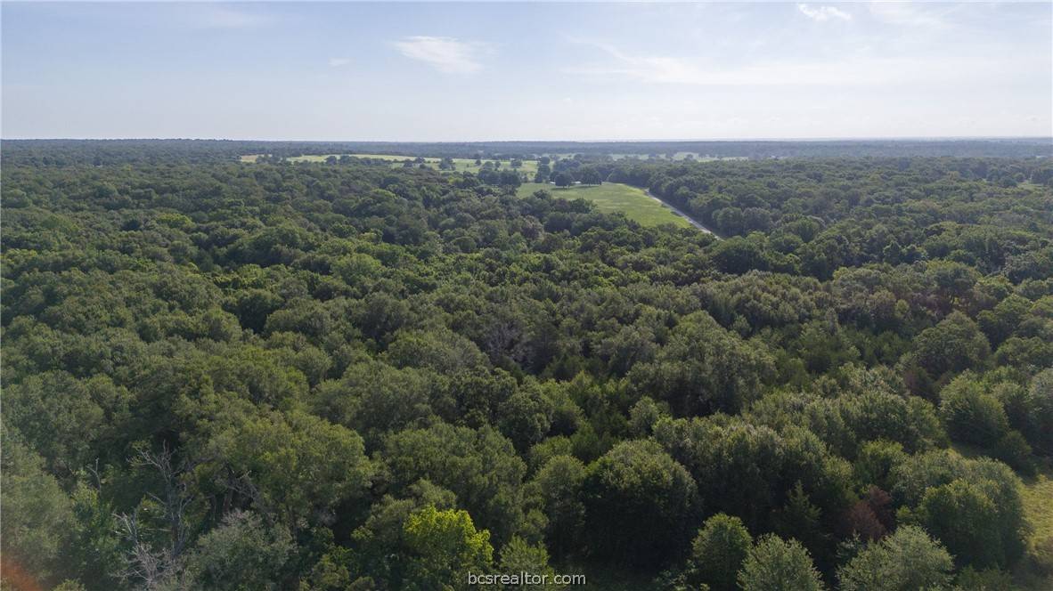 Caldwell, TX 77836,PVT EA FM 2000 TX PR 2025