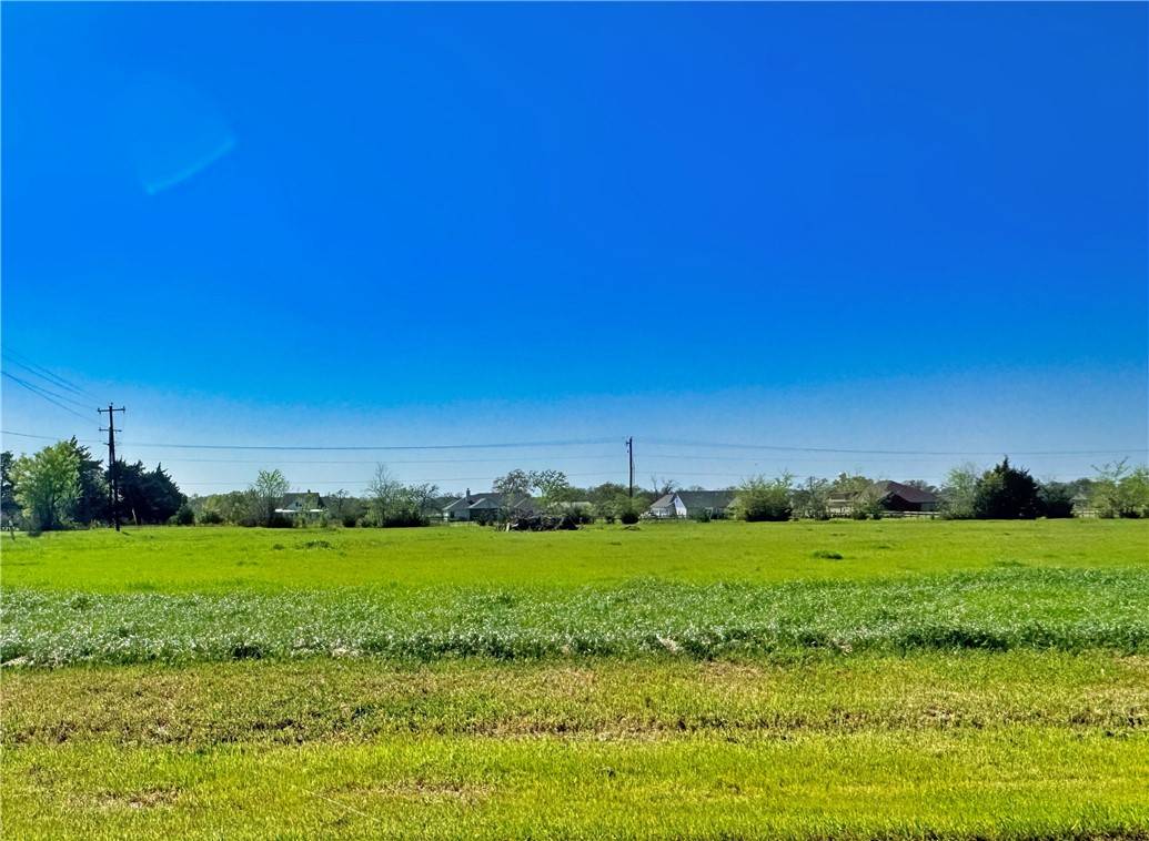 Iola, TX 77861,9867 Panther Creek DR