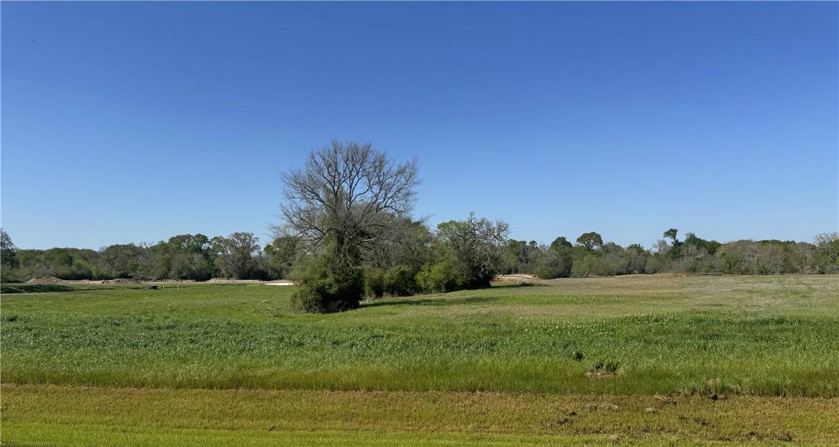 Iola, TX 77861,9956 Panther Ridge DR