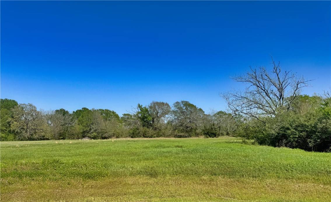 Iola, TX 77861,10270 Panther Creek DR
