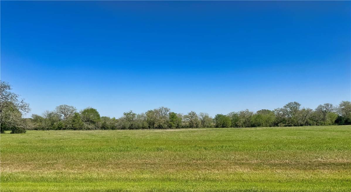 Iola, TX 77861,10146 Panther Creek DR