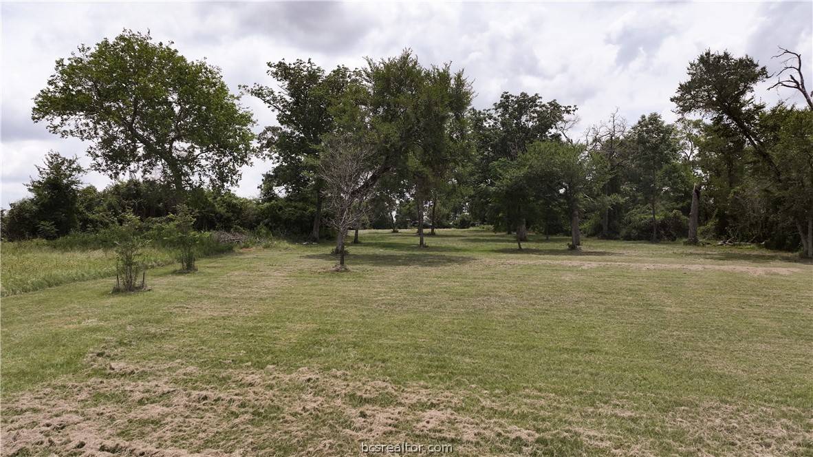 Iola, TX 77861,10256 Henley Cove