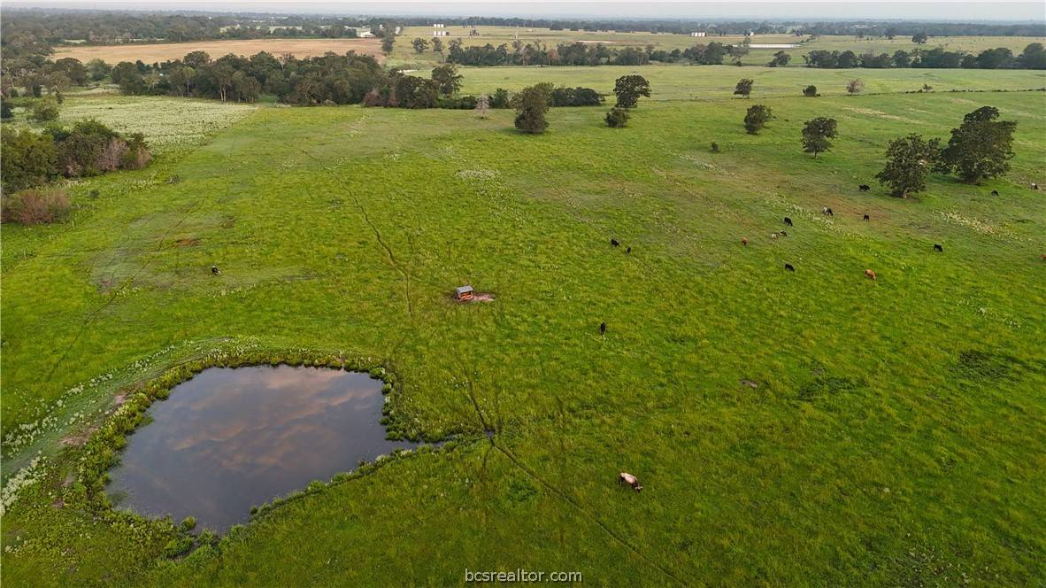 Iola, TX 77861,9233 County Road 103