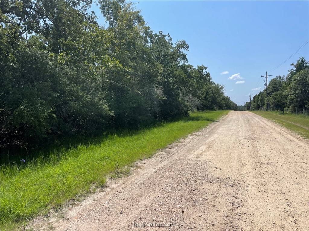 Snook, TX 77879,TBD Oak Forest Drive