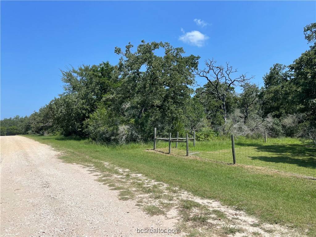 Snook, TX 77879,TBD Oak Forest Drive