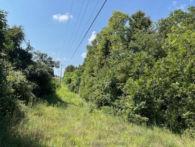 Navasota, TX 77868,XXXX LaSalle ST