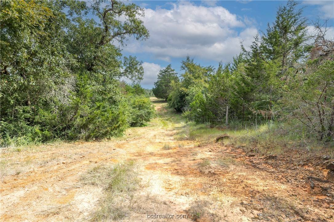 Milano, TX 76556,10.5Acres TBD County Road 331