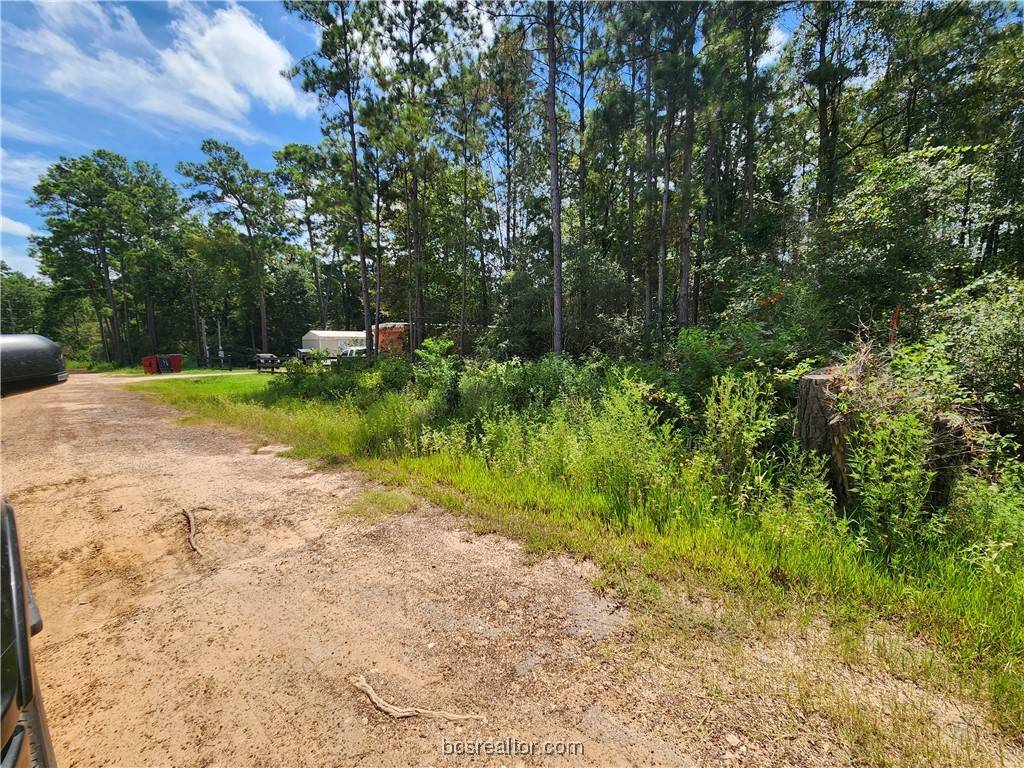 Plantersville, TX 77363,Lot 4 Coral Bean LN