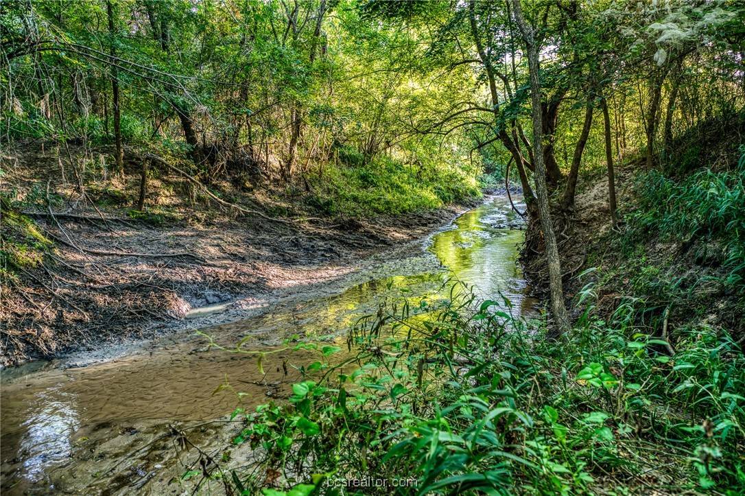 Bellville, TX 77418,TBD Sandstone Ln