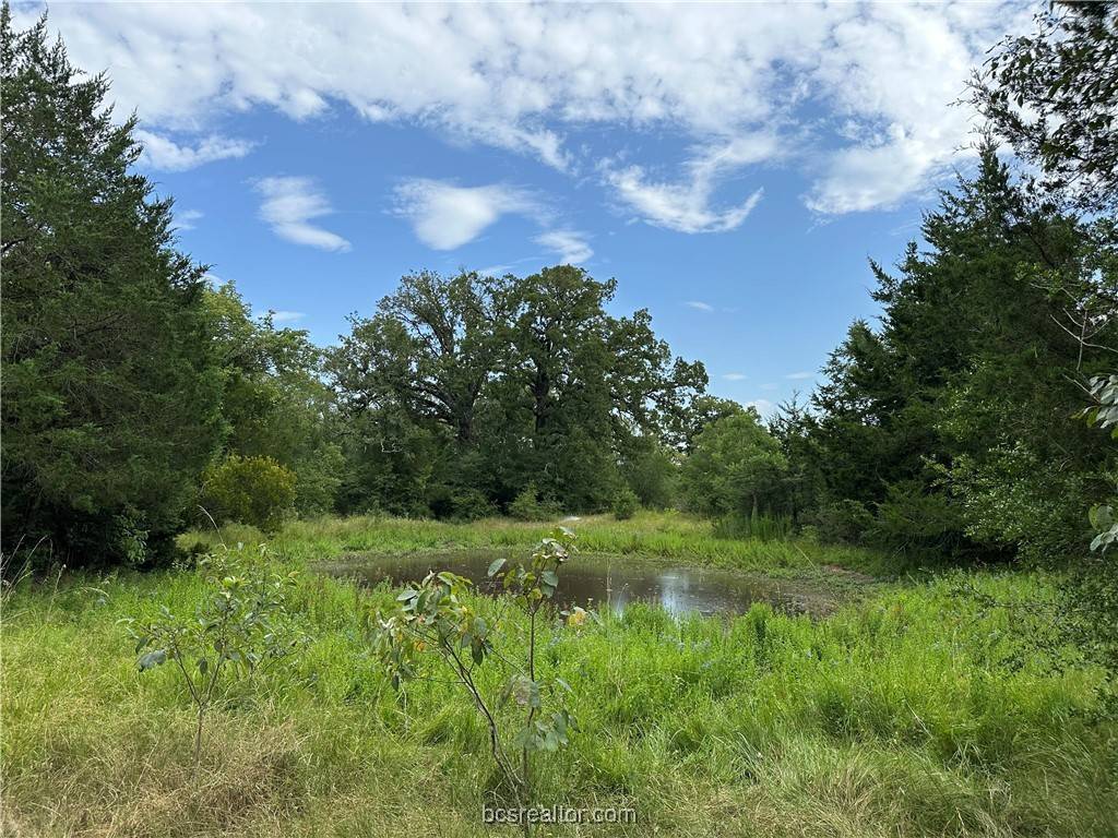 Bryan, TX 77808,TBD Ferrill Creek RD