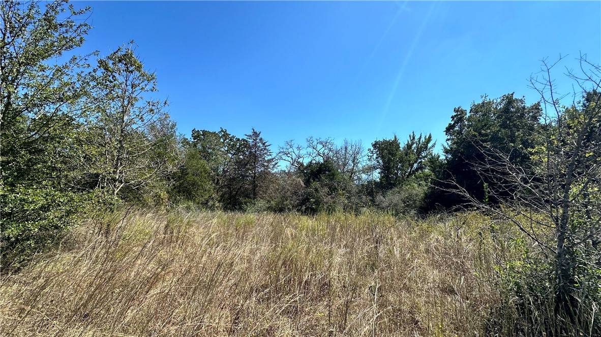 Gause, TX 77857,402 Professor Smith Rd