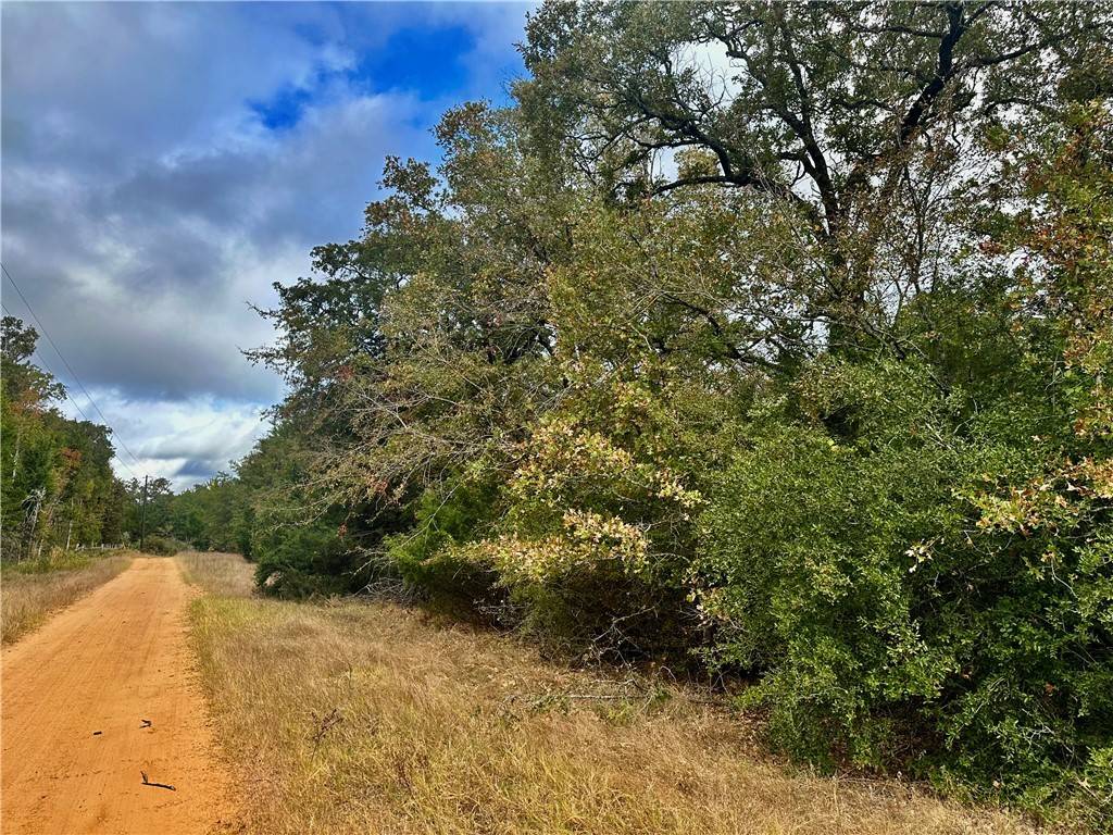 Caldwell, TX 77836,PR 1001 8 Acres