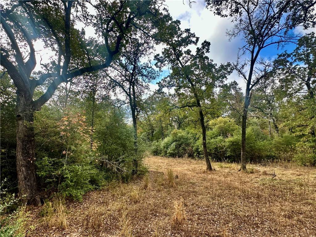 Caldwell, TX 77836,PR 1001 8 Acres