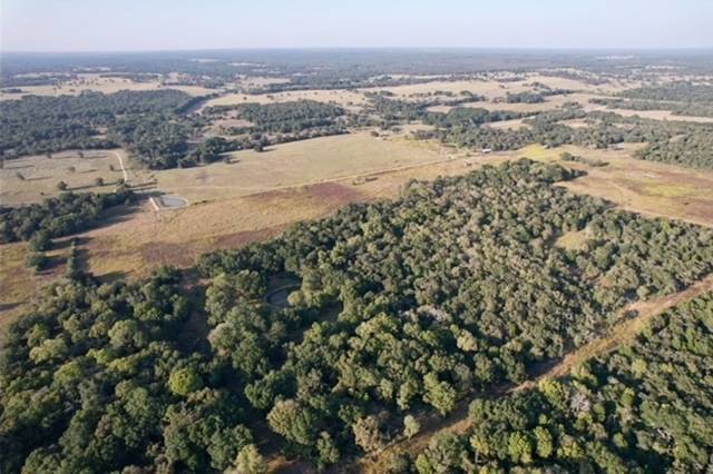 Caldwell, TX 77836,10222 County Road 316