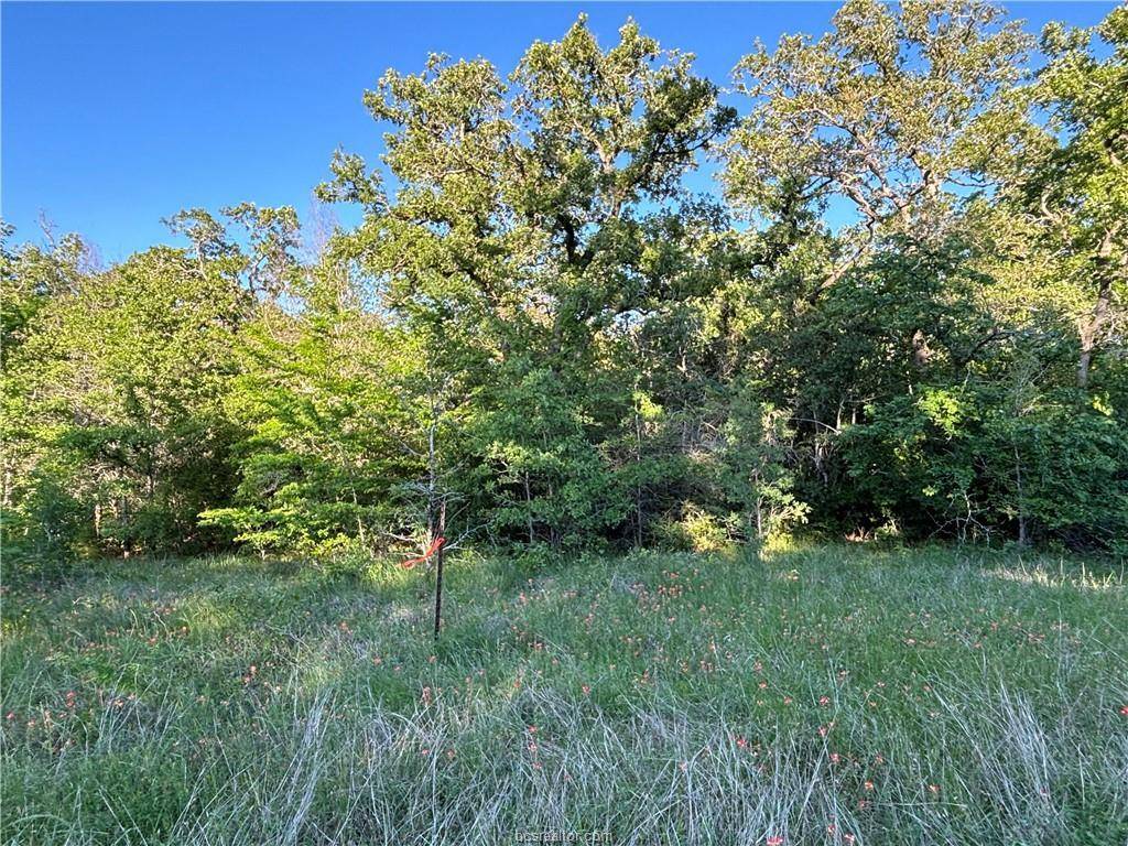 Somerville, TX 77879,Lot 188 & 189 Burr Oak Ln