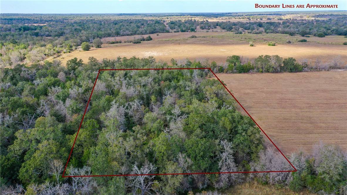 Bedias, TX 77831,Lot 2 County Rd 229